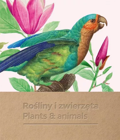 Okładka książki: Ilustracja papugi i kwiatów
