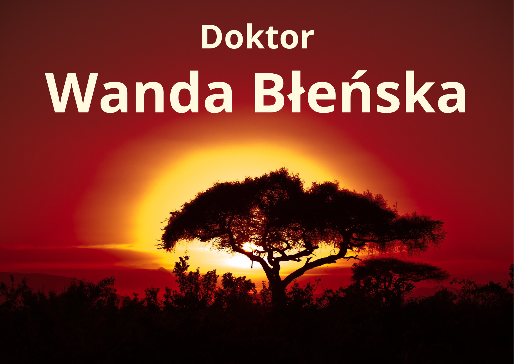 Doktor Wanda Błeńska. Drzewo na tle zachodzącego słońca.