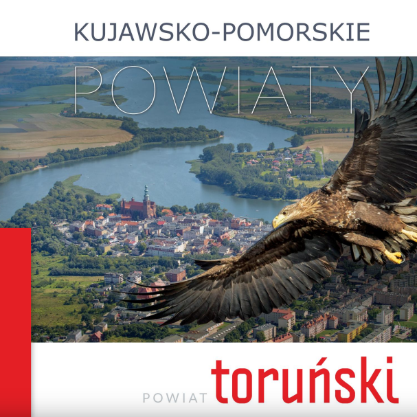 Powiat toruńśki - e-book